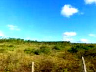 Sítio com 66,62ha em Itapicuru/BA