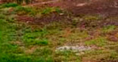 Terreno com 975m² em Goioerê/PR