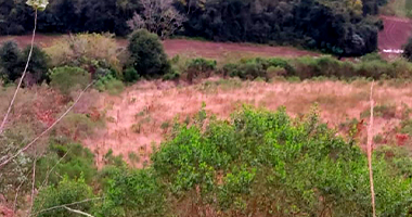 Terreno em Sarandi RS