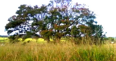 Lote de Terras com 432m² em Umuarama/PR