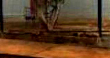 Casa Ocupada com 3 Quartos e 2 Banheiros em Independência/RS