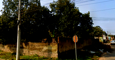 Terreno Urbano com Benfeitoria Não Avervada em Guaíba/RS