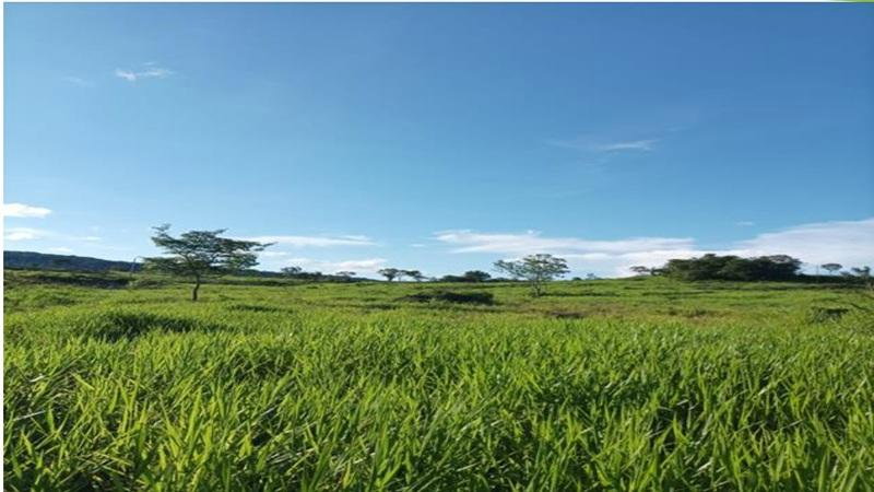 Fazenda São Domingos com 22,7178 HA em Piranhas/GO