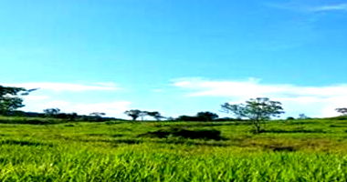 Fazenda São Domingos com 22,7178 HA em Piranhas/GO