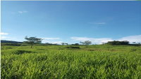 Fazenda São Domingos com 22,7178 HA em Piranhas/GO