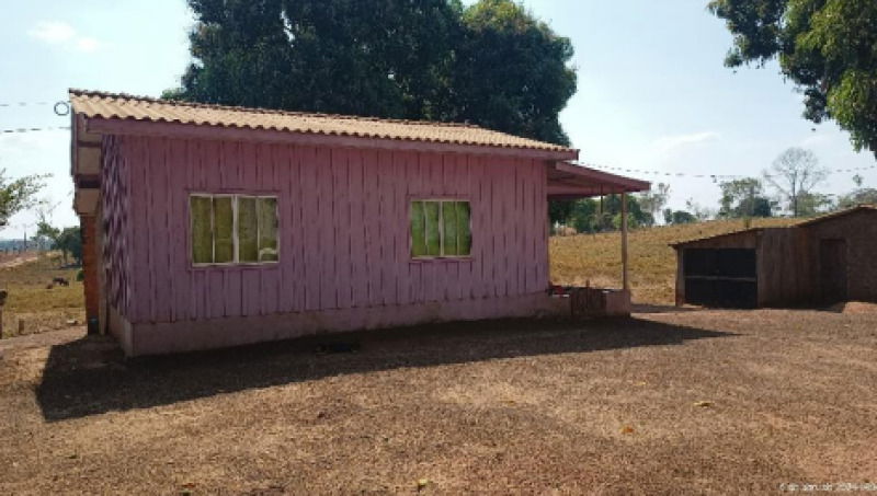 Imóvel Rural com Casa e Pastagem em Urup/RO