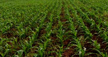 Imóvel Rural com Área de 29.387,00m²