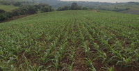 Imóvel Rural com Área de 29.387,00m²