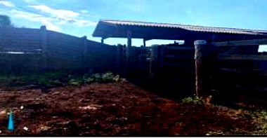 Fazenda Ibiporã I - 140ha em Nova Olímpia/MT com Pecuária