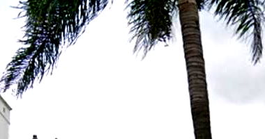 Apartamento com 1 vaga - Guarulhos/SP