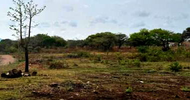 Terreno com 486,73 m² em Araguacema/TO