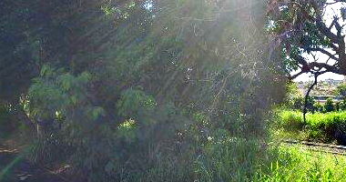 Prédio residencial popular com 65m² construídos