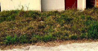 Casa com 2 Quartos em Campos dos Goytacazes/RJ