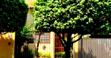 Casa Ocupada com Ampla Área em Bauru/SP
