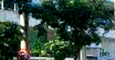 Apartamento Ocupado com 1 Vaga em Icaraí - Niterói/RJ