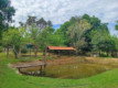 Fazenda com 151,5287 hectares em Rianápolis/GO