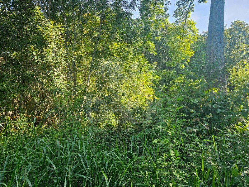 Terreno urbano de 870,70 m² no Loteamento Avifauna