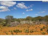 Fazenda com 204 hectares, desocupada, sem benfeitorias