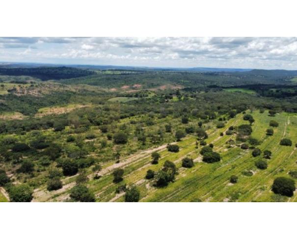 Terreno em Fazenda Retiro com 200ha em Presidente Olegário