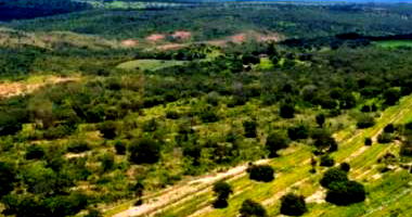 Terreno em Fazenda Retiro com 200ha em Presidente Olegário