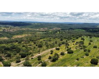Terreno em Fazenda Retiro com 200ha em Presidente Olegário