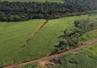 Imóvel Rural com 0.82 Alqueires em Formosa do Oeste/PR