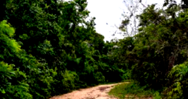 Fazenda Boa Esperança I com 242 ha - Ocupada