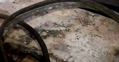 Lote com Ordenhadeira, Arado e Arado Artesanal