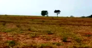 Terreno desocupado com 250m² em Jardim Botânico I, ótimo para investimento