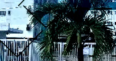 Apartamento com 2 quartos em São Cristóvão