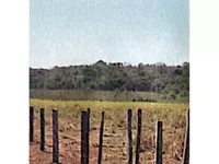 Área Rural em Leilão - Coxim/MS