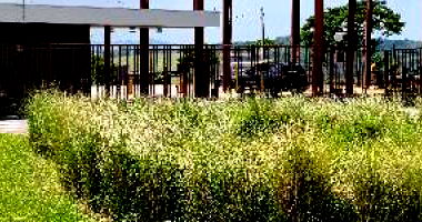 Terreno com 274,19m² em Taubaté/SP