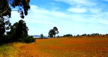 Chácara 6,24 ha com reserva florestal - Poços de Caldas/MG