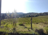 Área Rural com Massa Falida em Campo Largo