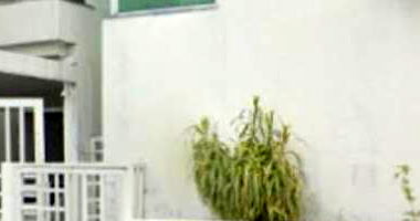 Casa Ocupada com 5 Quartos e 3 Banheiros em Dom Pedro