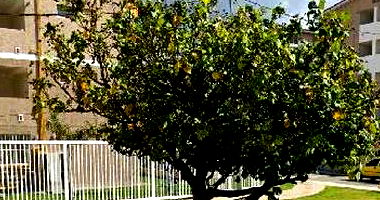 Apartamento com 2 quartos em Itaboraí/RJ