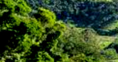 Fração de 2/6 de Imóvel Rural com Benfeitorias em Juiz de Fora