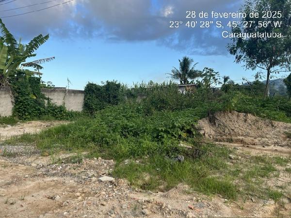 Terreno amplo com 353,85m², ideal para construção