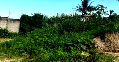 Terreno amplo com 353,85m², ideal para construção
