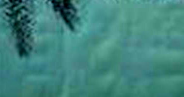 Casa Ocupada com 4 Quartos no Jardim Jockey Club