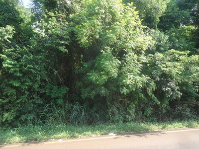 Chácara nº 04, 3.482m² - Londrina/PR