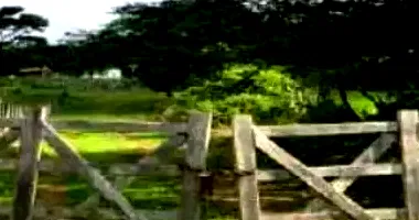 Fazenda com 142,48m² construídos - Ocupada