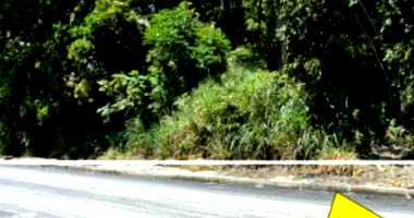 Área de Terra ampla com 9.745m², terreno ideal para investimento