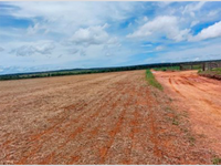 Terreno de 45 ha em Porto Dos Gaúchos/MT