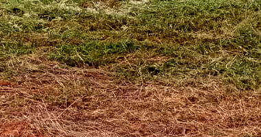 Terreno Urbano de 250 m² em Terra Roxa - Oportunidade!