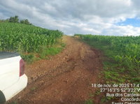 Terreno rural com 3,69 hectares em Concórdia do Oeste