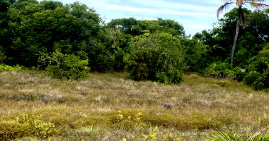 Terreno de 300m² em Loteamento com Potencial de Valorização