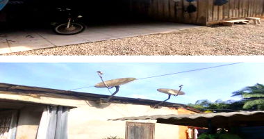 Terreno Rural com 272.500m² em Vitor Meireles, SC