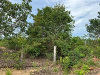 Terreno em Nova Xavantina - MT com 4.930m²