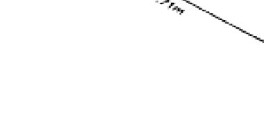 Imóvel Rural com 4,84ha em Ortigueira/PR